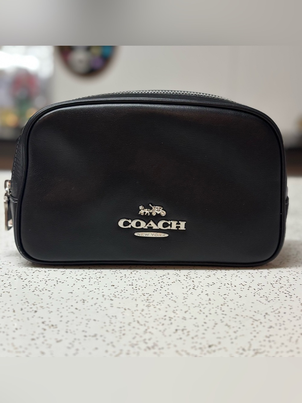 Coach Belt Bag